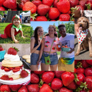 Sunshine, Strawberries and So Many Treats!