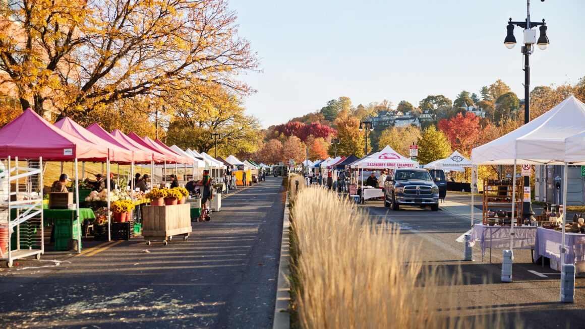 419985f6-30ae-ec65-0564-ad55be969444 Furry Friends, Strut Your Stuff!
