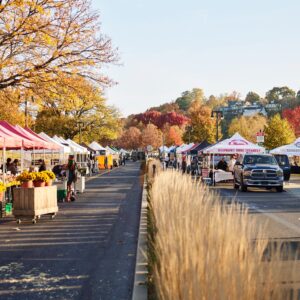 Furry Friends, Strut Your Stuff!