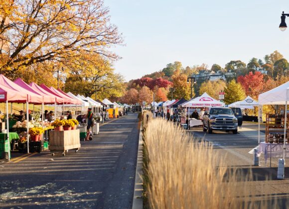 419985f6-30ae-ec65-0564-ad55be969444 Furry Friends, Strut Your Stuff!