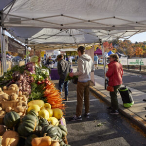 Neighbors Feeding Neighbors