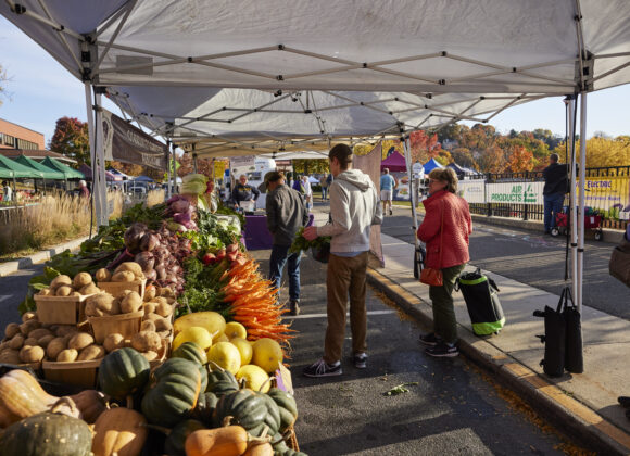 44ed70be-068a-b976-de02-00b855d74292 Neighbors Feeding Neighbors
