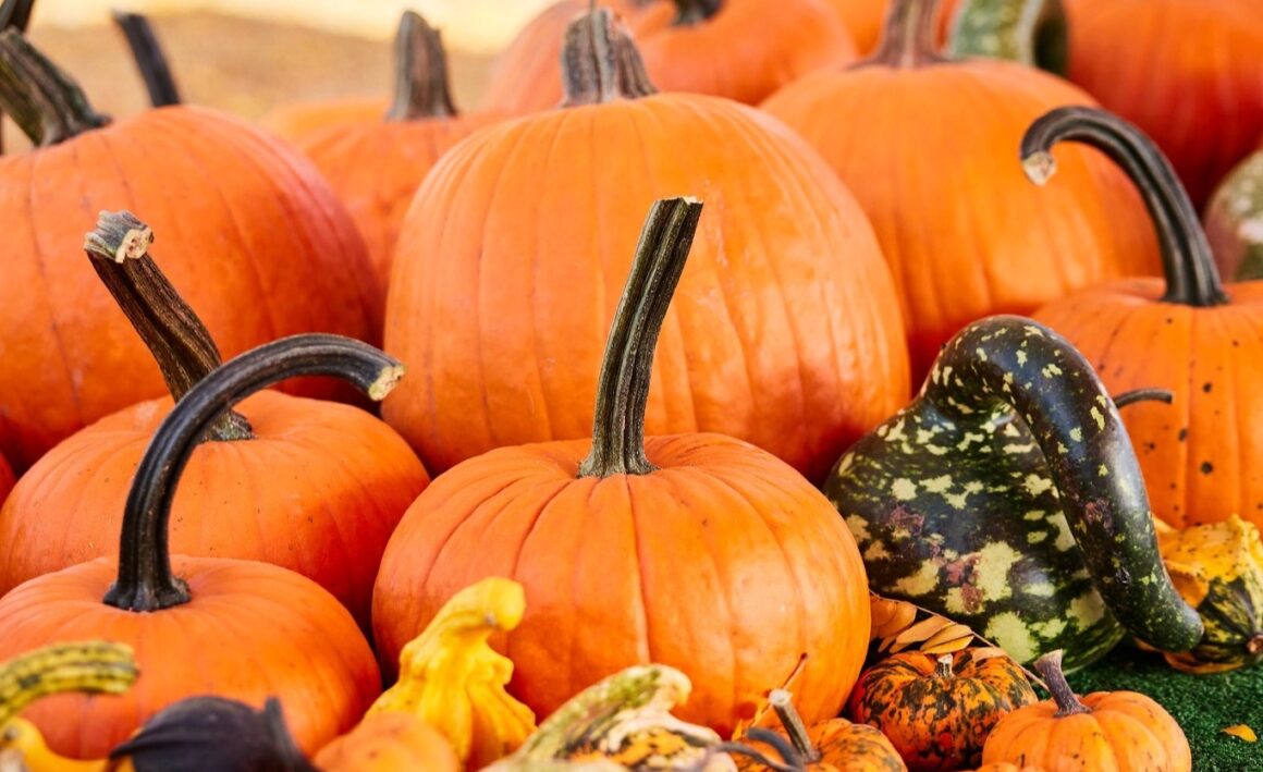 8e15310f-10e9-0d0c-ba55-83f9f4aa1563 Easton Steps Up