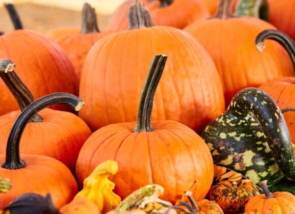 8e15310f-10e9-0d0c-ba55-83f9f4aa1563 Easton Steps Up