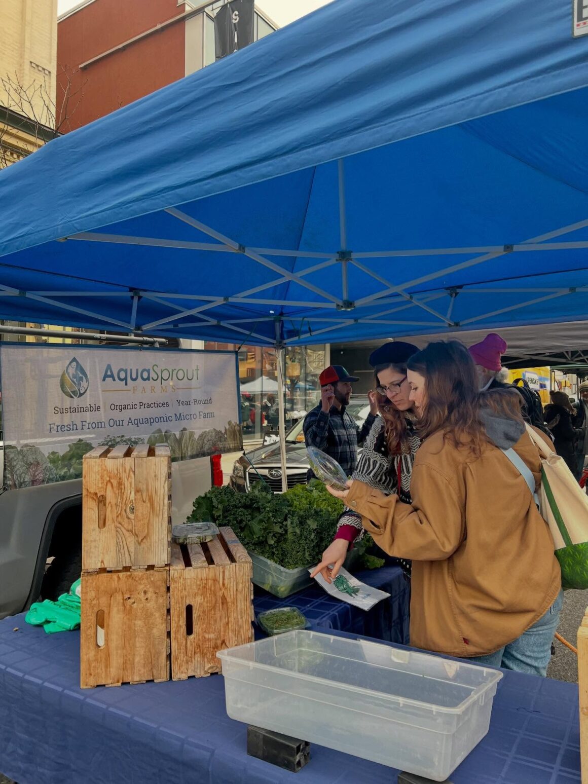 Week 2: Winter Market