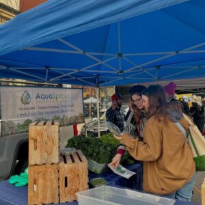 Week 2: Winter Market