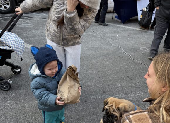 6be485b8-a2af-009e-dd42-f2a8633957b3 Week 7: Ahoy, Freshness!