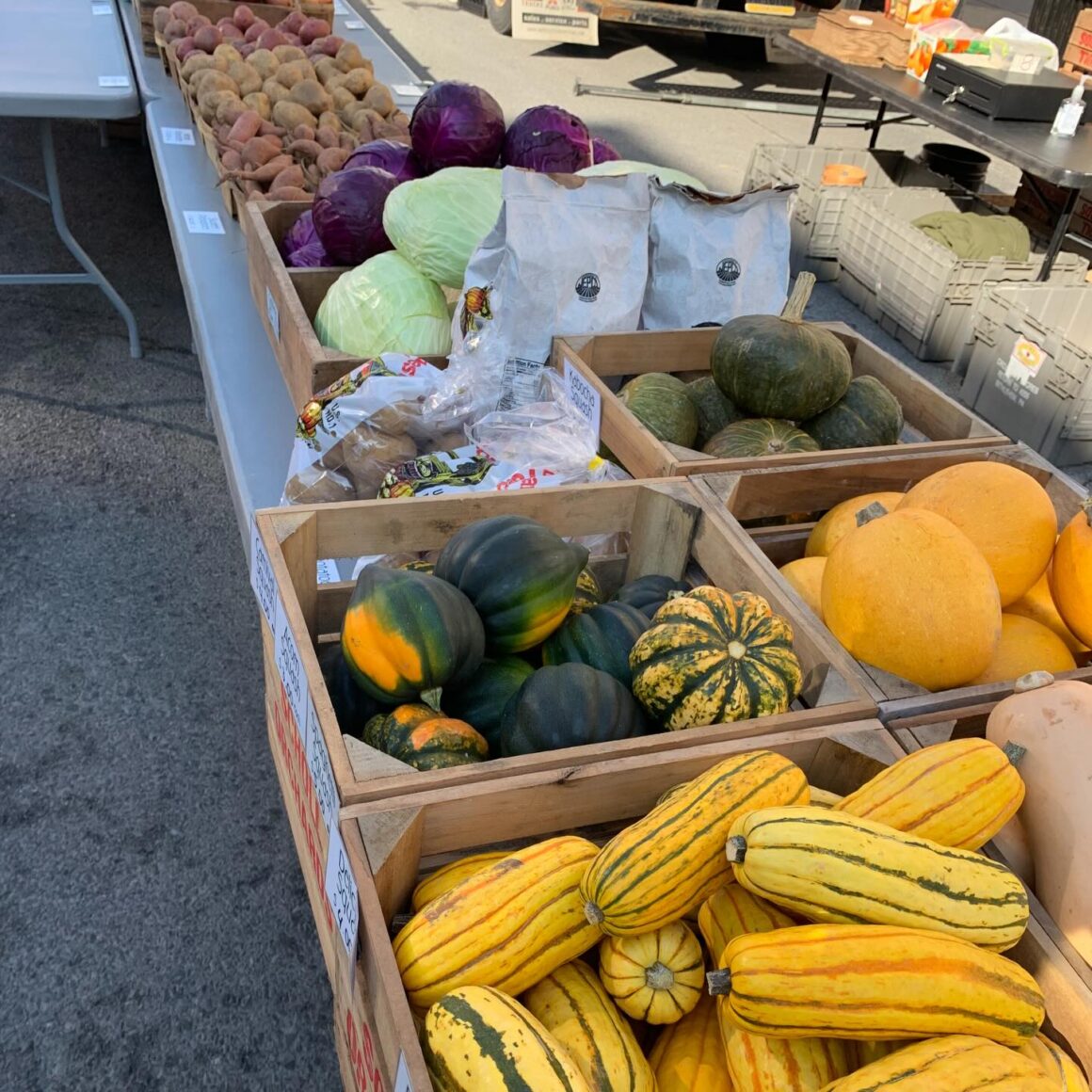 Week 10:  St. Paddy’s Day Specials