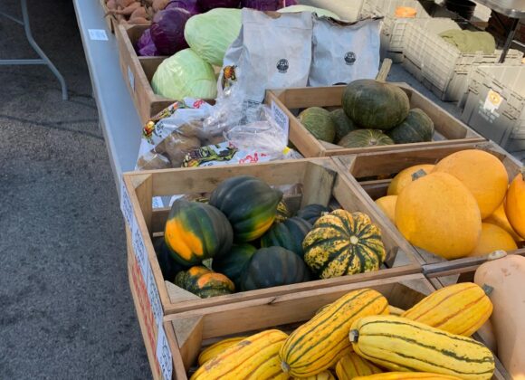 Week 10:  St. Paddy’s Day Specials