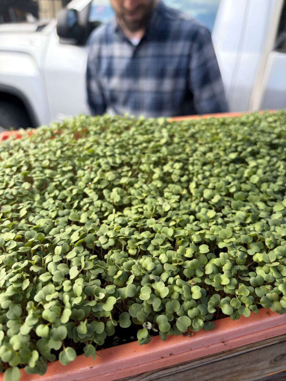 7f615dad-ab98-96d7-cb6b-2ad201e5580f Week 12: Indulge in Spring Flavor!