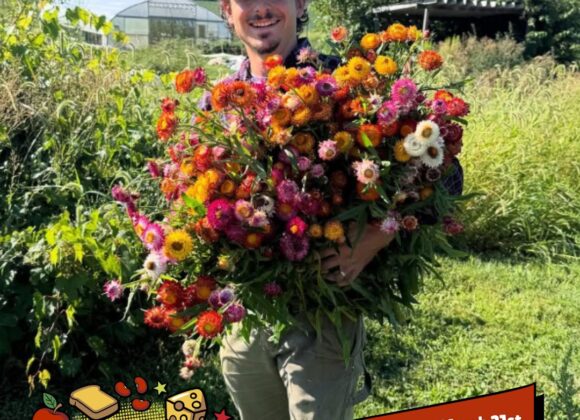 Week 11: Spring is Here!