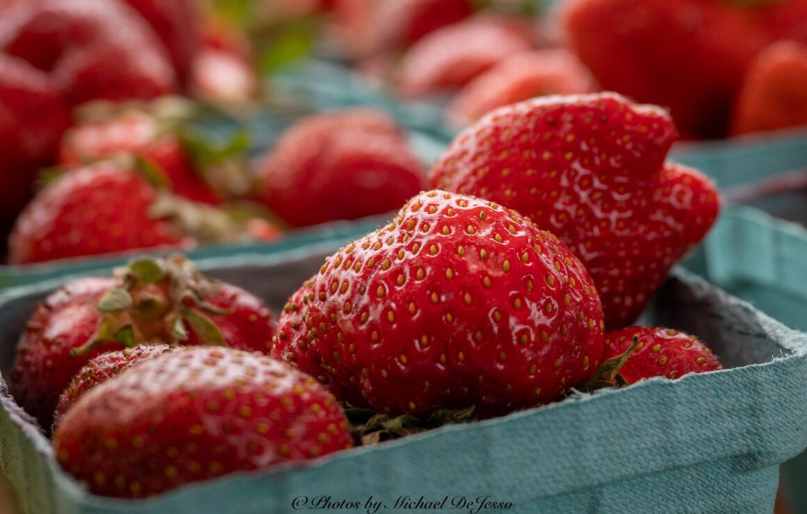 Strawberry Fields Forever