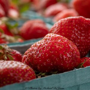 Strawberry Fields Forever