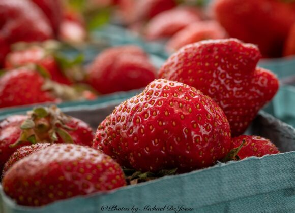 Strawberry Fields Forever