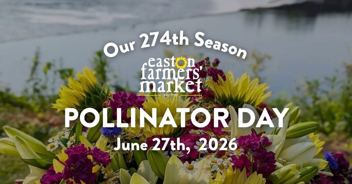 A Pollinator Paradise