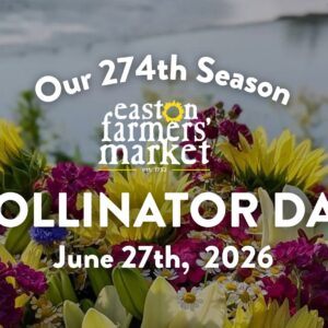 A Pollinator Paradise