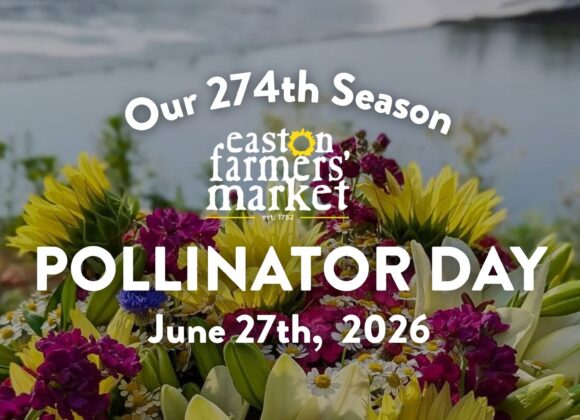 A Pollinator Paradise