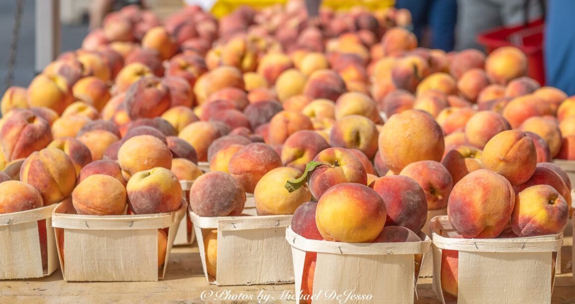 c6221943-d715-4363-4352-cbb79b3bb63f Peaches, Galore!