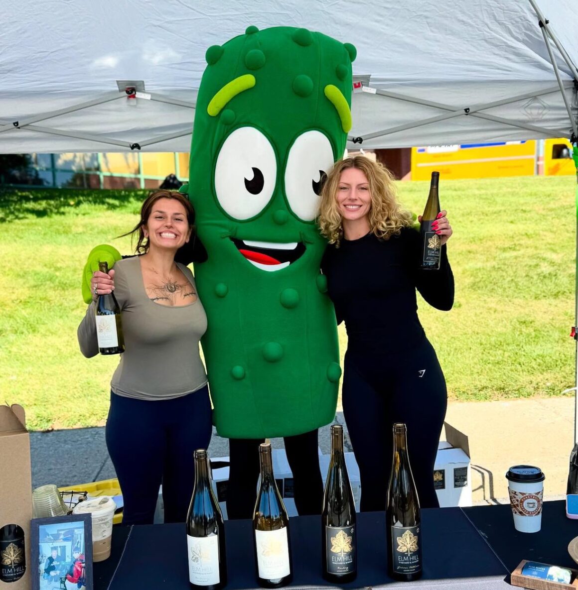 58c7d14f-0770-9eb4-22d9-8f49a26b7af5 Funky Ferments Fest – Back For Year 5!